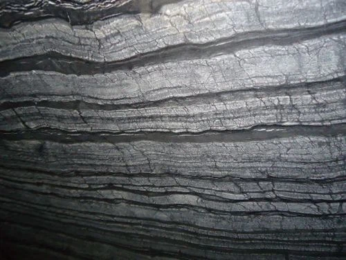 Black Ancient Wood Grain Marble Slab For Countertop And Flooring